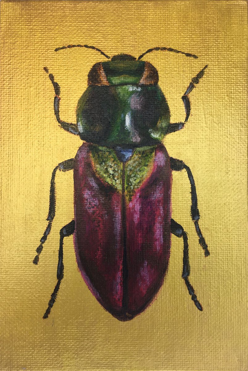 BUPRESTIDAE - Golden collection of beetles by Tatiana Voskresenskaya