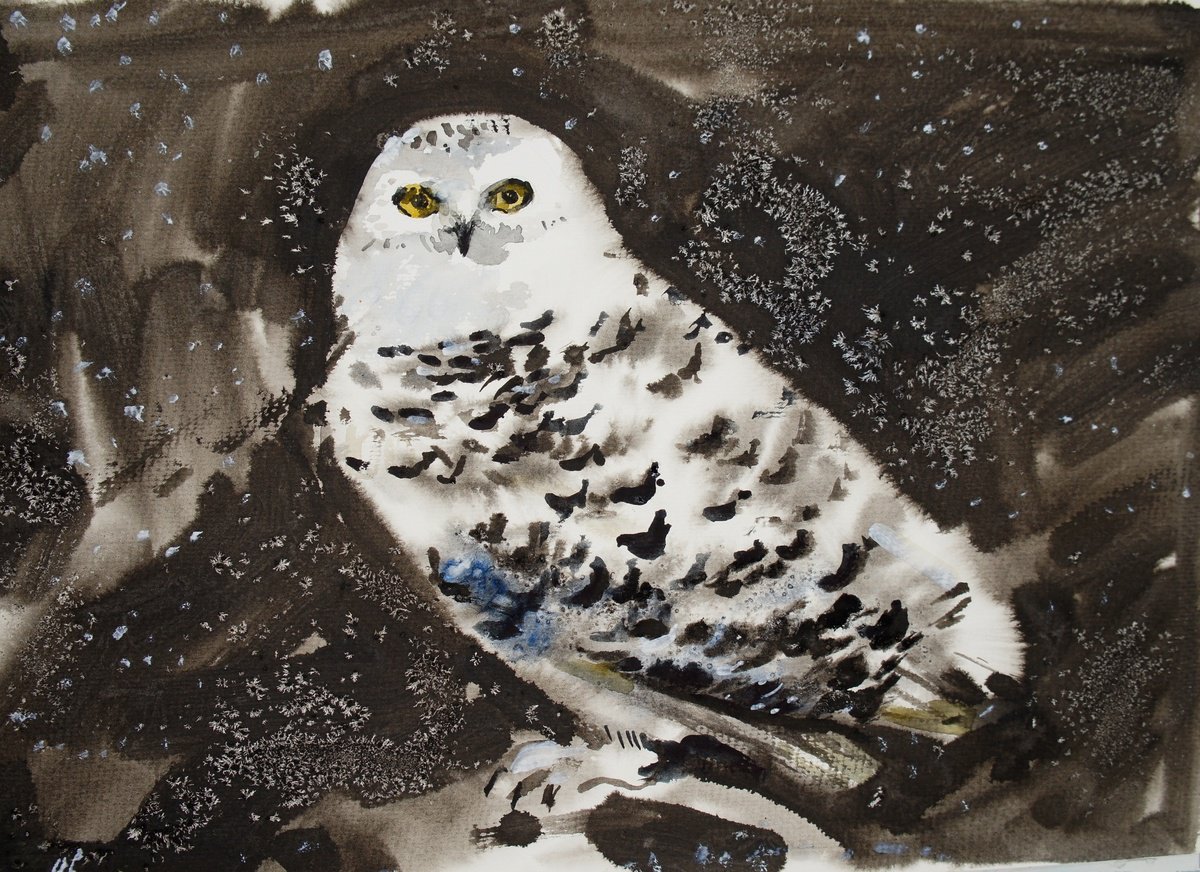 Polar owl by Elena Sanina