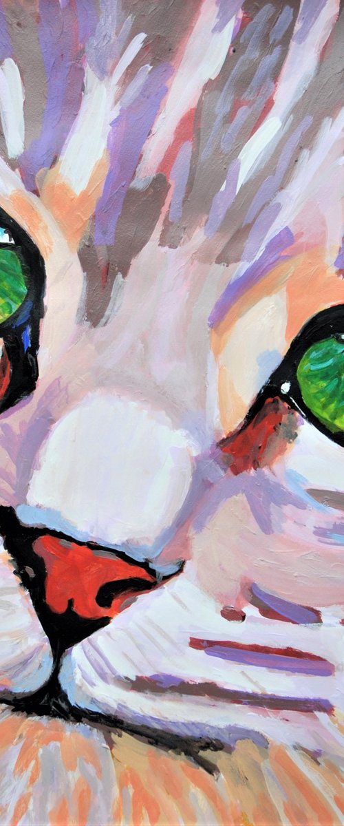 Kitten / 66 x 57 cm by Alexandra Djokic