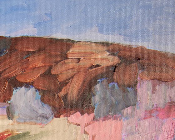 Moorland in Bloom