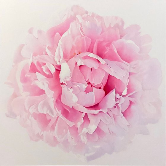Ethereal Peony