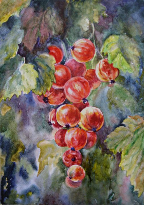 berries by Liubov Ponomarova