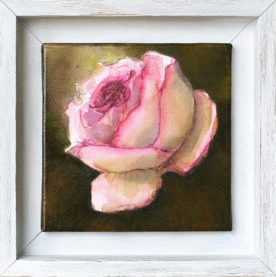 The rose - small size framed floral painting - 20X20 cm