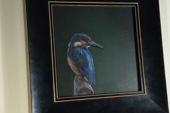 Kingfisher Portrait, Bird Artwork