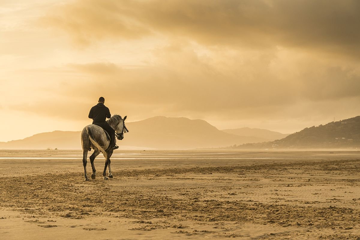 Photorealistic Photograph , Lone Rider By Andrew Lever, 47 X 33, Artwork For Sale On Artfinder