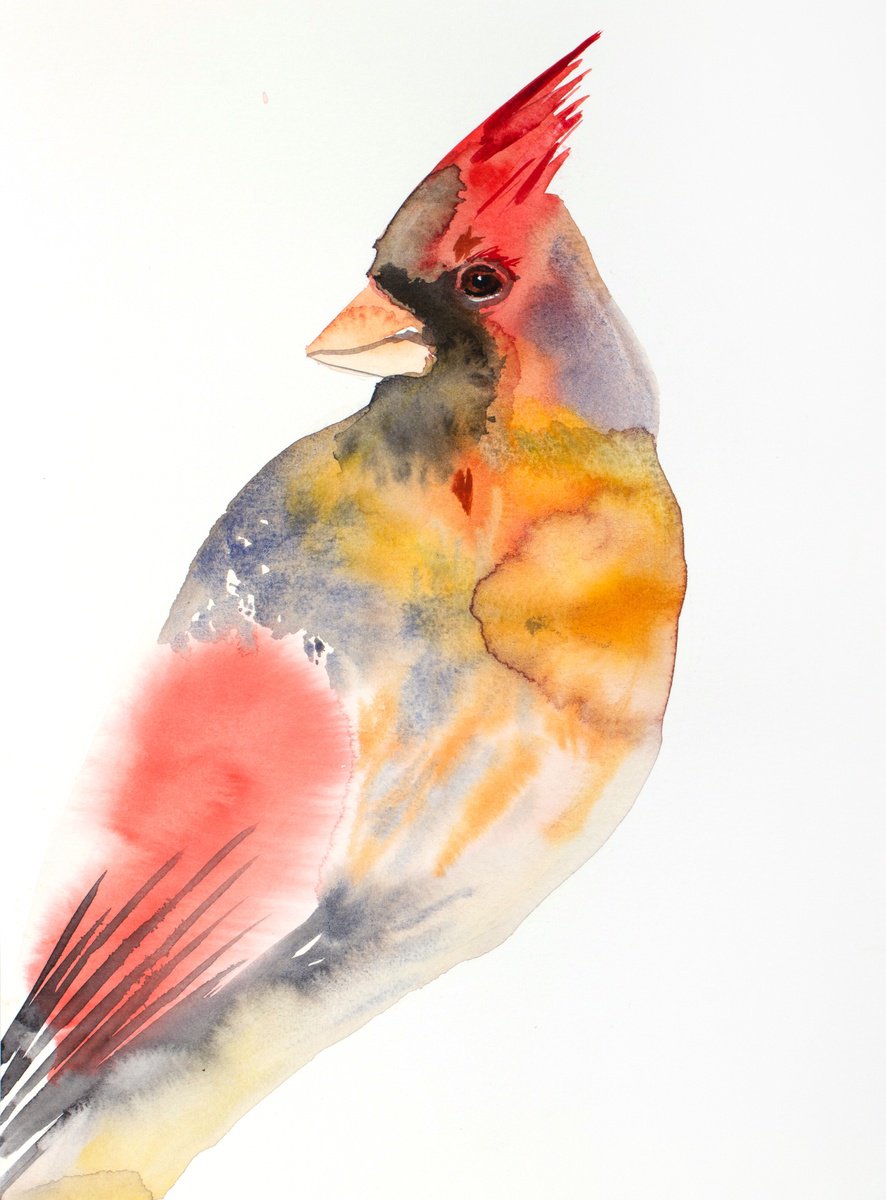 Cardinal No. 6 by Elizabeth Becker