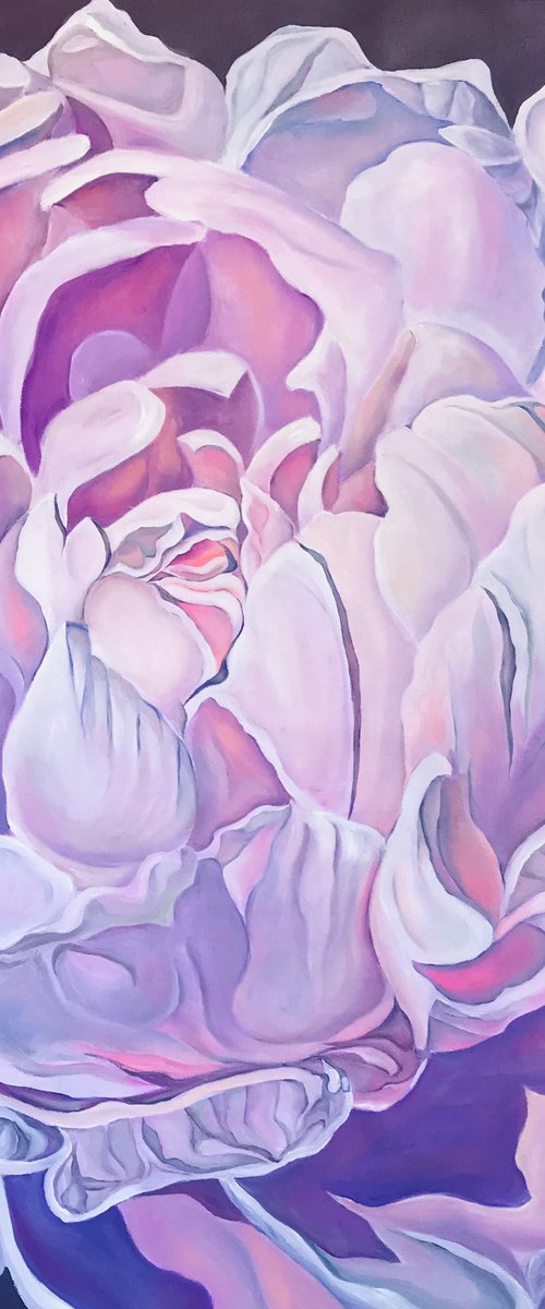 Marshmallow Peony by Olga Volna