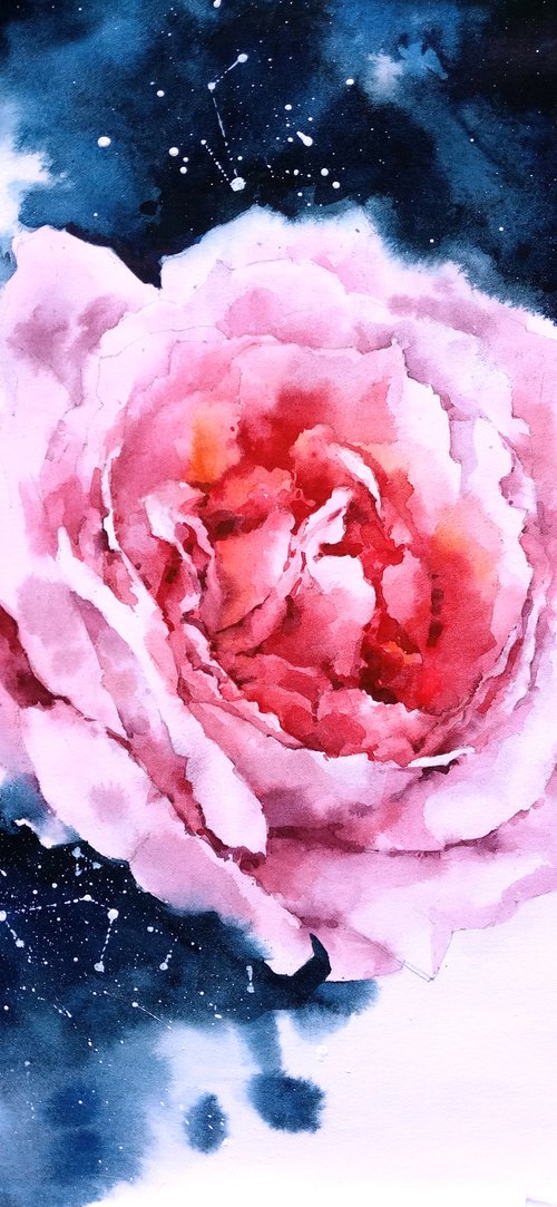 Modern watercolor artwork "Cosmos of a rose flower" by Ksenia Selianko