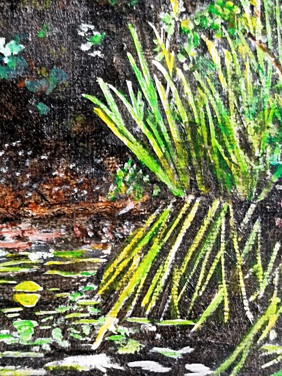 Pond and végétation