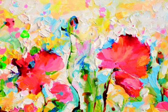 Red Opium Poppy Field