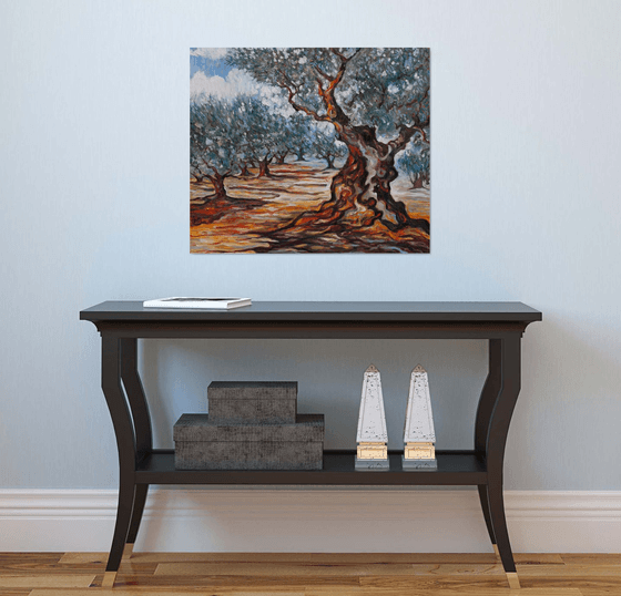 Olive Grove