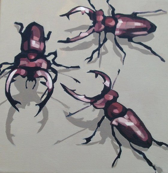 Three Stag Beetles