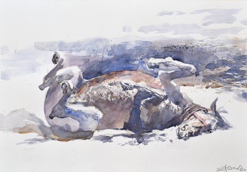 Rolling in the dust 5 by Goran Žigolić Watercolors
