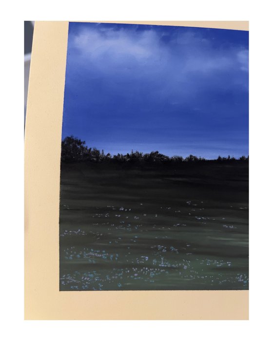 Wiese in der blauen Stunde