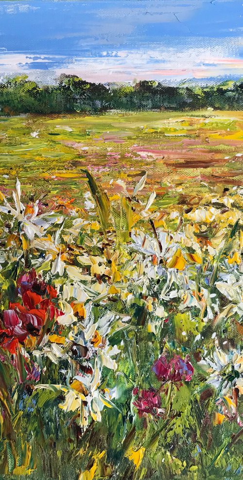Chamomile in the Sunshine by Diana Malivani
