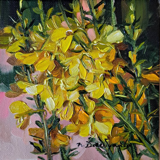 Small oil painting original yellow flower painting 5x5, Scotch broom picture frame floral artwor