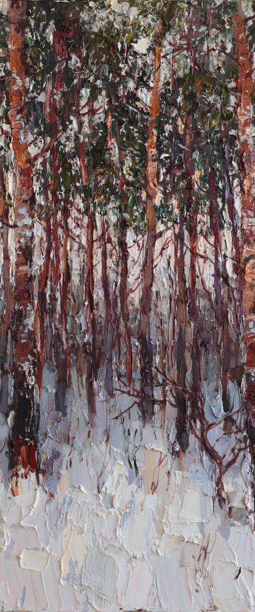 Winter Pine Forest at Dusk by Anastasiia Valiulina