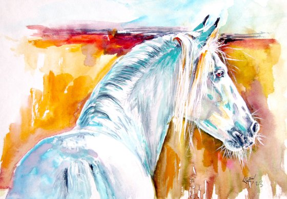 Andalusian horse collection