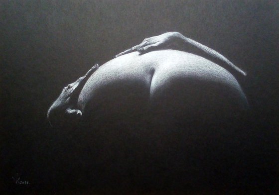 Nude noir #274 (29X21)cm