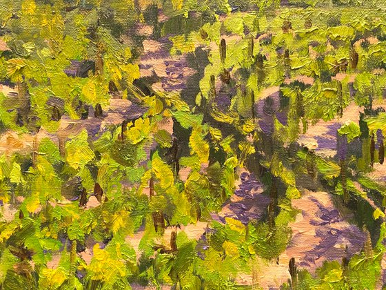 Jericho Canyon Vineyards