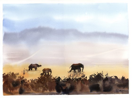 Evening Elephants