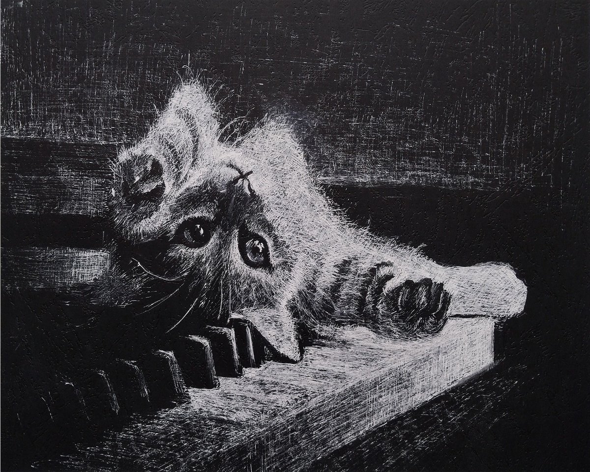 Animal Ink Drawing By Kamsar Ohanyan, 20 X 16", Whiskers On Keys, Original Artwork