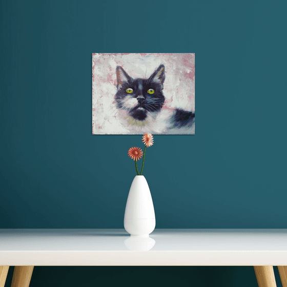 Cat Portrait.