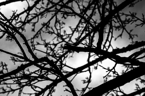 Negative Space No. 3