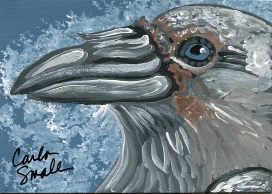 Spirit Raven