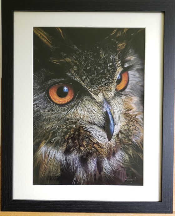 “Eurasian Eagle Owl”