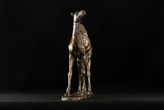 Camel Foundry Bronze sculpture