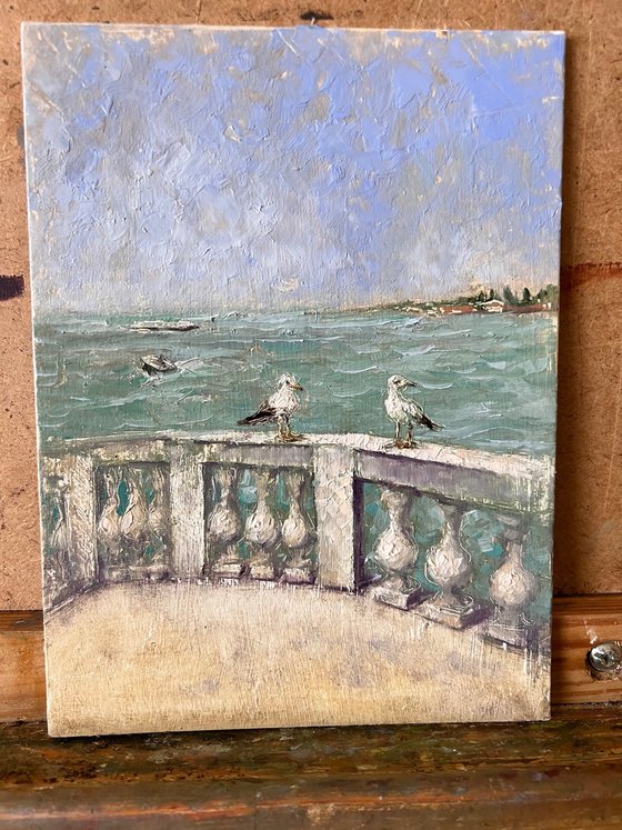 Venice Lagoon Seagulls Terrace