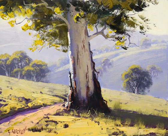 Australian Gum Tree Landscape