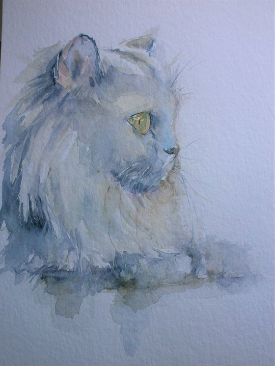 Persian cat in Watercolour