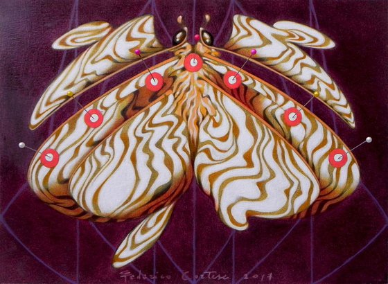 The albino butterfly