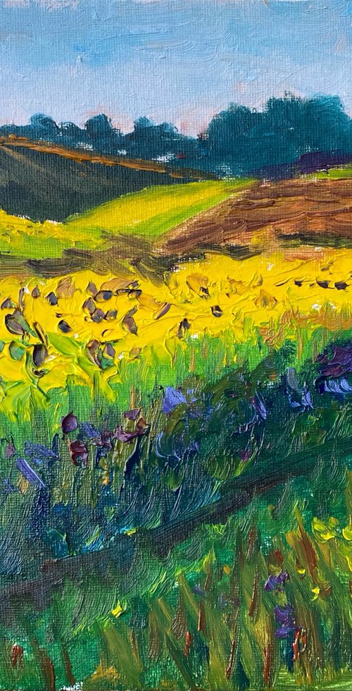 Sunflowers field. Plein air by Dmitry Fedorov