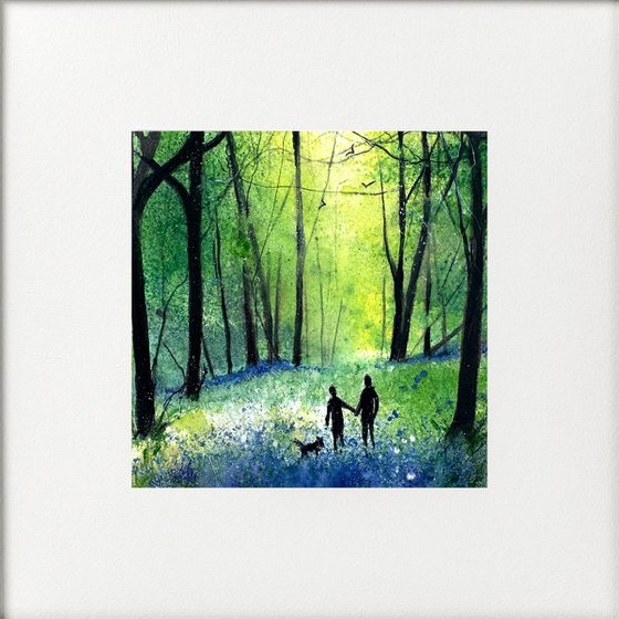 Our Woodland Bluebell Walk