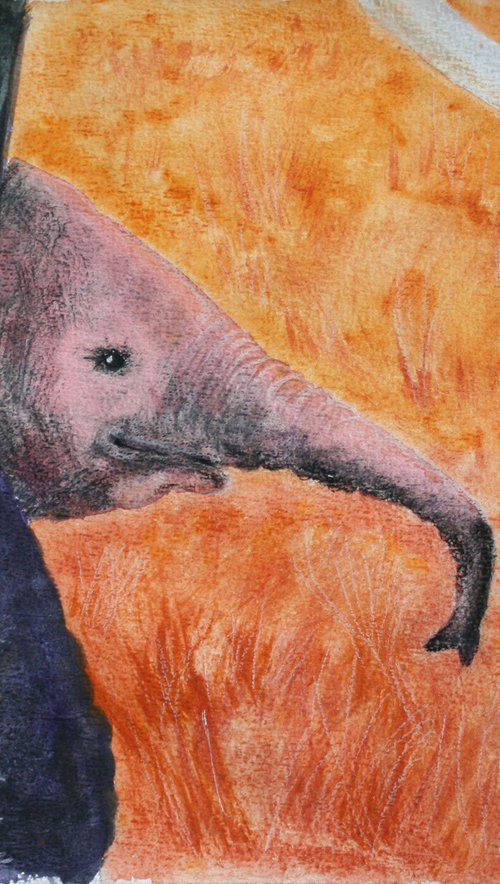 Baby Elephant IV by Salana Art / Svetlana Samovarova