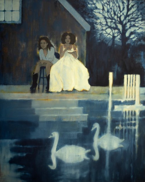 Feeding The Swans by Andrew McNeile Jones