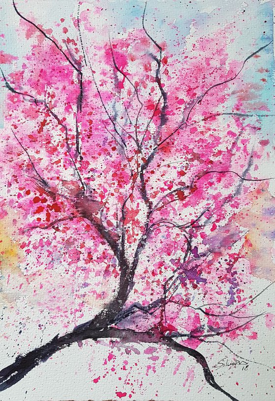 Cherry blossom II