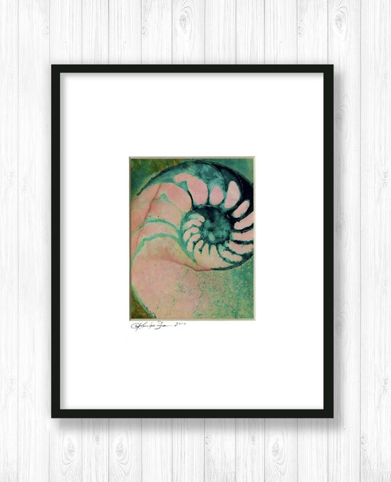 Nautilus Shell Collection 21