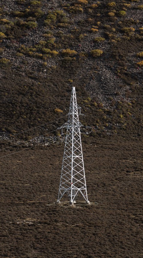 Power Line by YIBO WANG