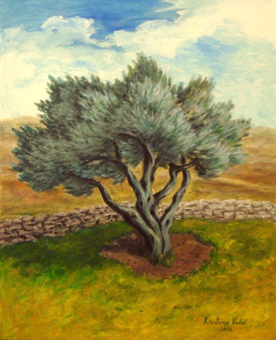 Olive tree