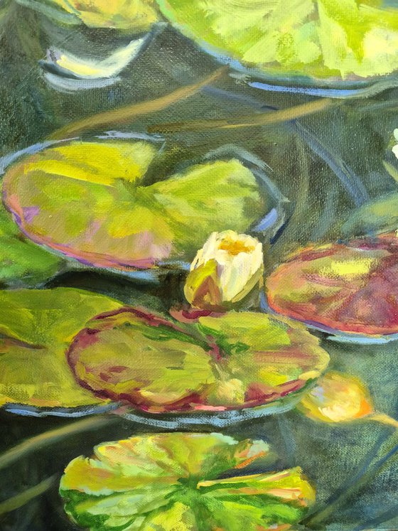 Aquatic sanctuary