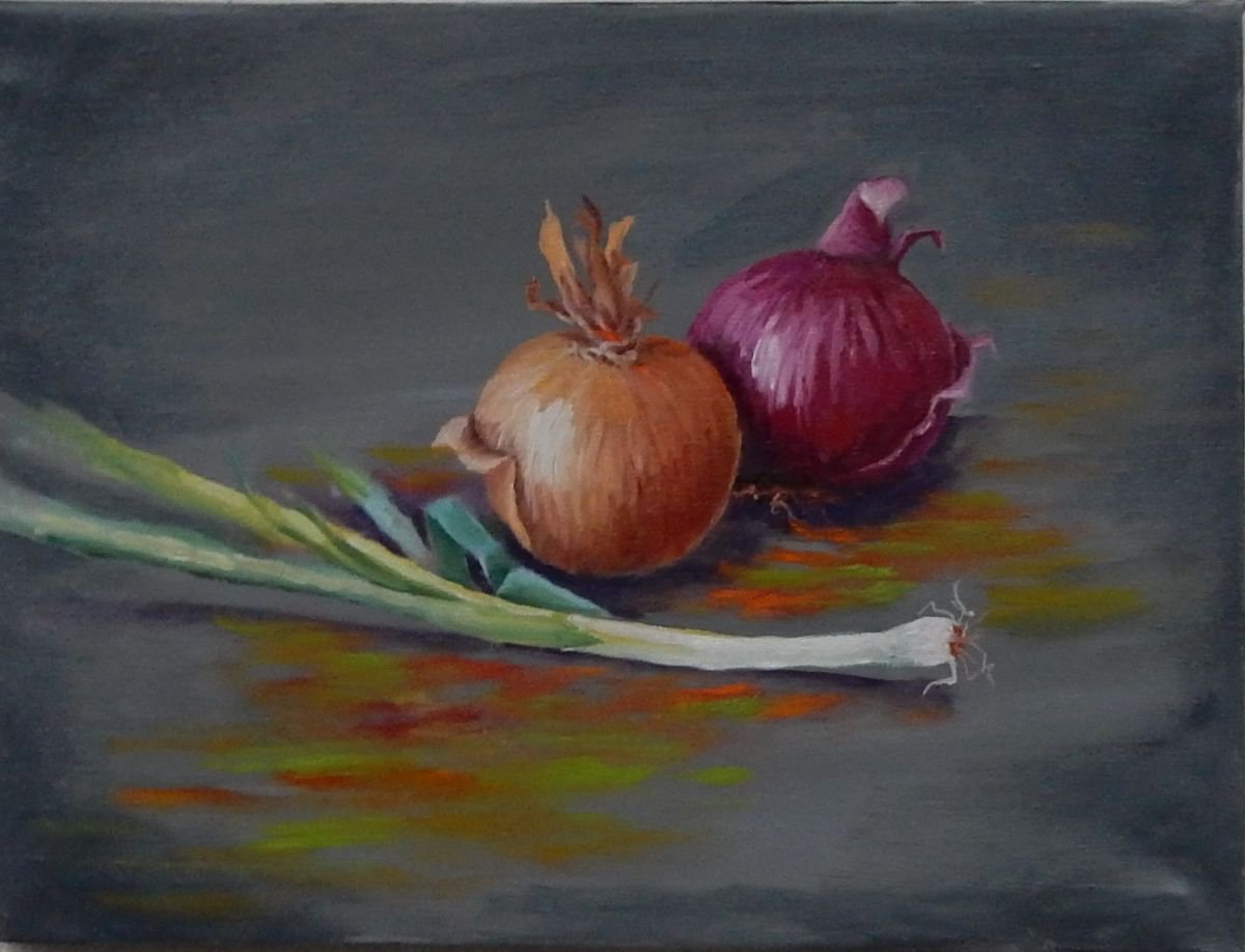 Onion. by Vita Schagen