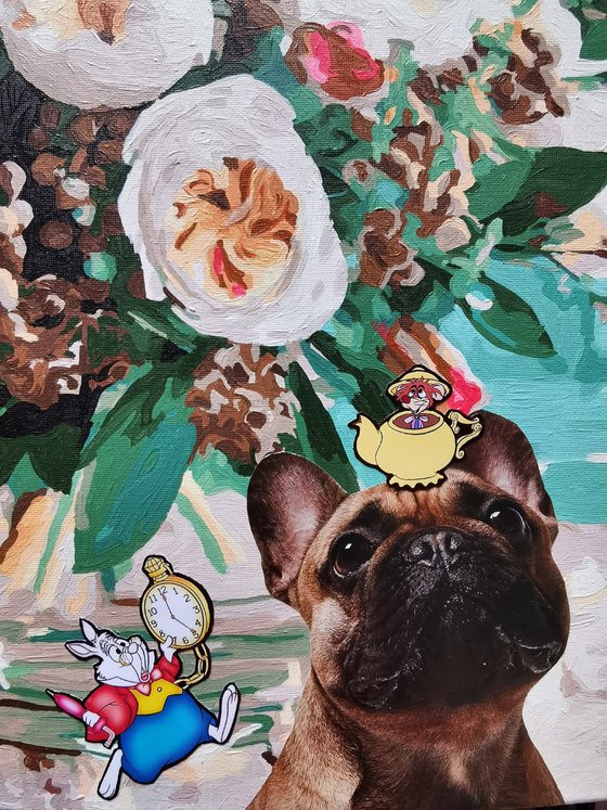 My Wonderland and Alice