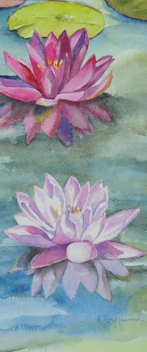 Two shades of pink by Krystyna Szczepanowski