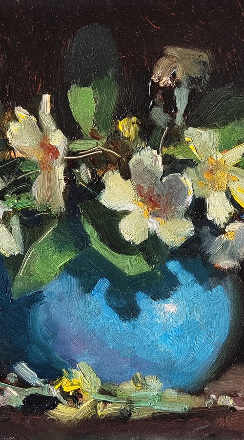 Primroses by Pascal Giroud