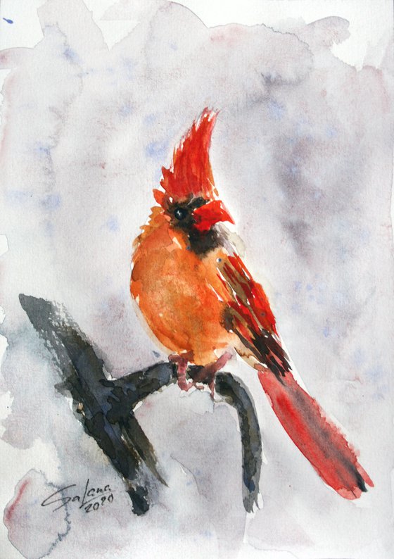 Cardinal V - Bird portrait /  ORIGINAL PAINTING