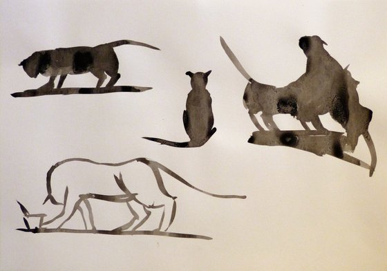 Study of Cats 2